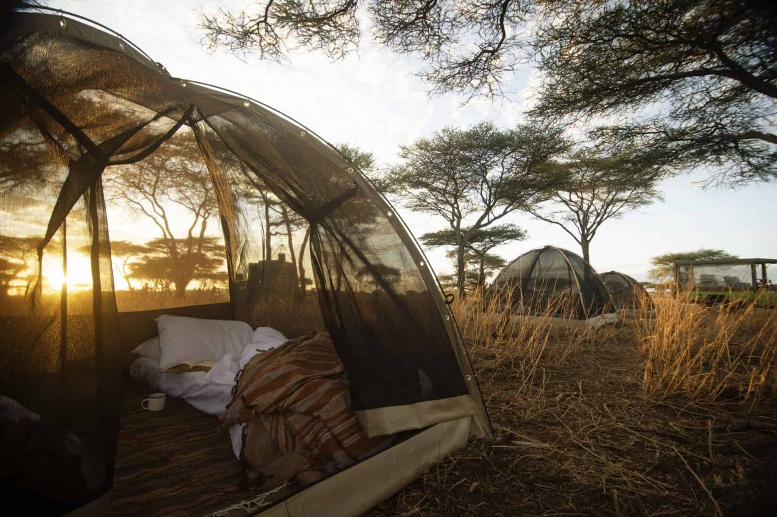 Wilderness camp beneath acacia trees in Northern Kenya